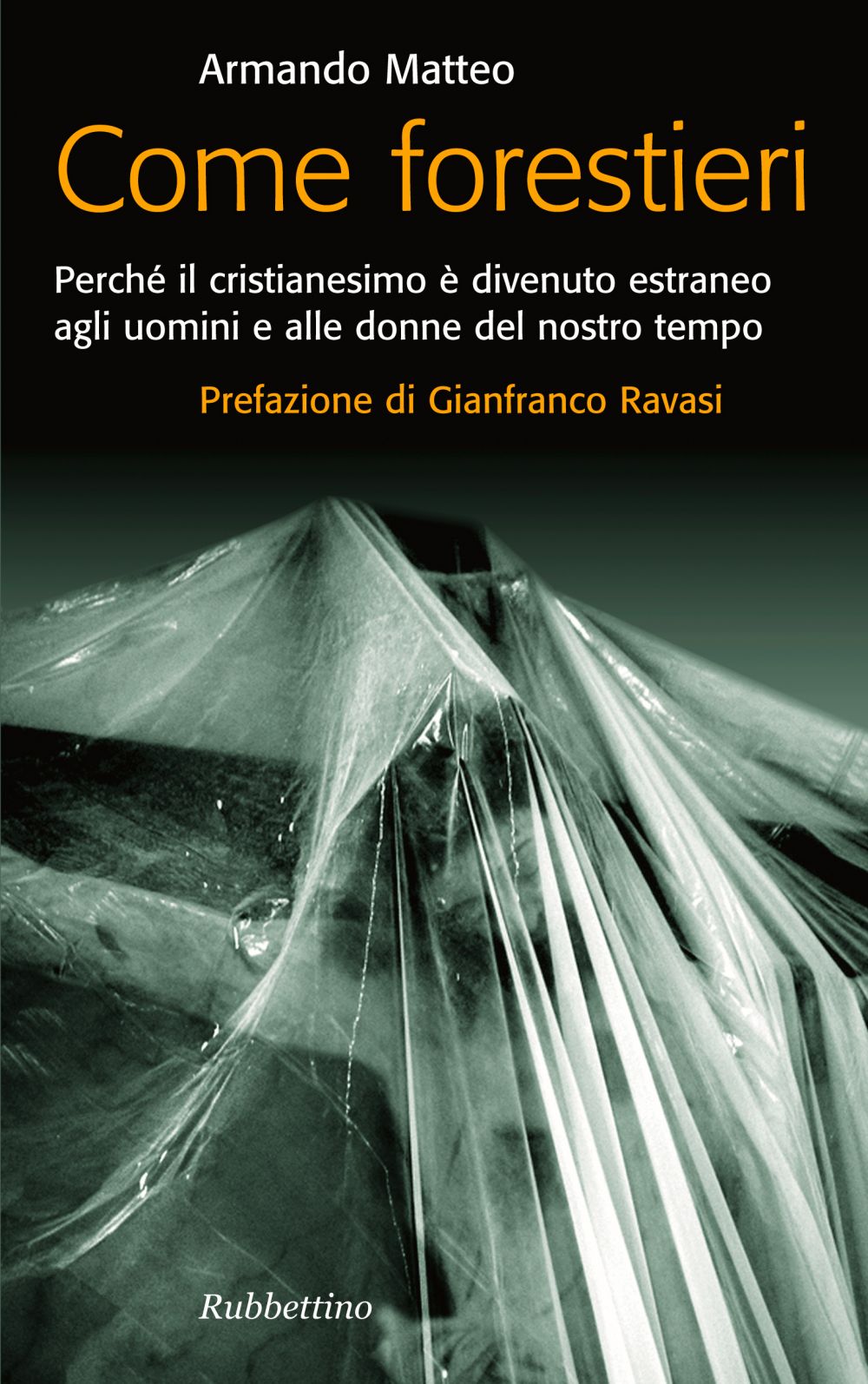 Copertina Copertina prodotto 9788849833195